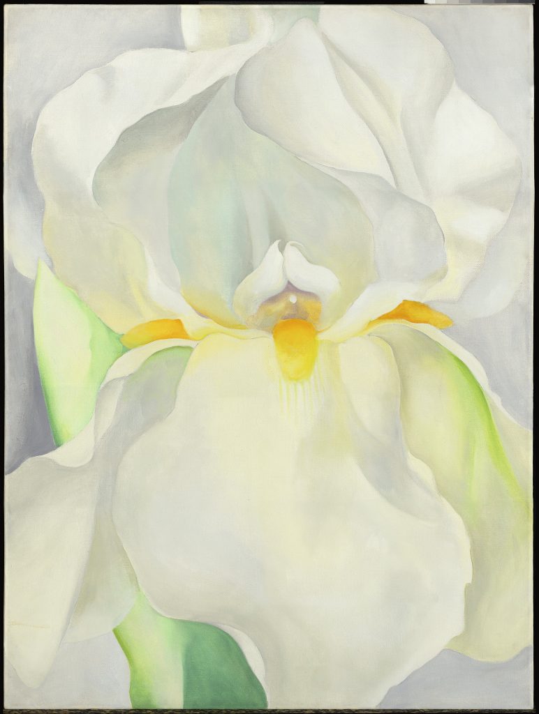 Lirio blanco nº 7 Georgia O'Keeffe 1957